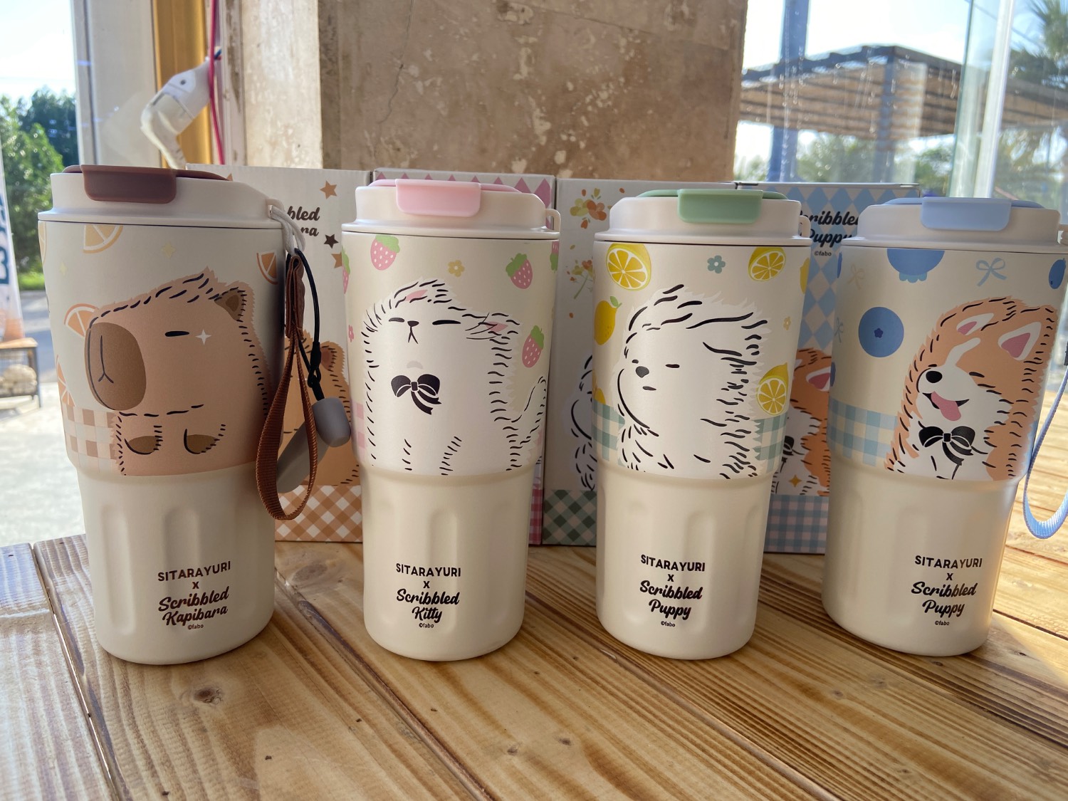 تراول ماگ دو حالته فانتزی سیتارایوری ۲۱