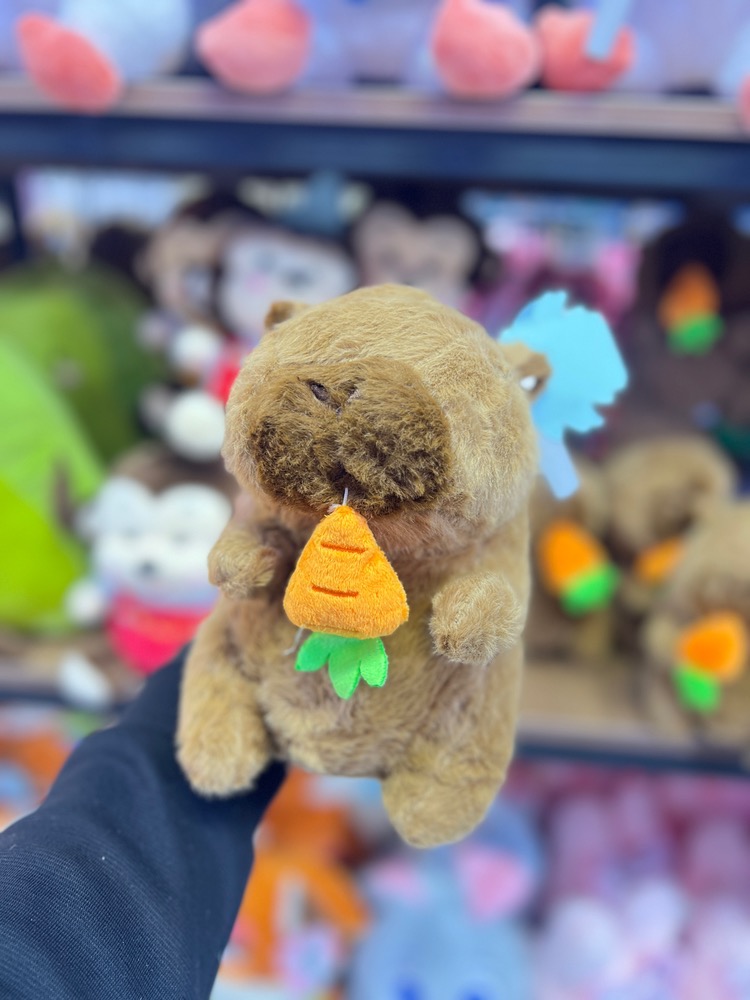 عروسک خوکچه هندی هویج خور